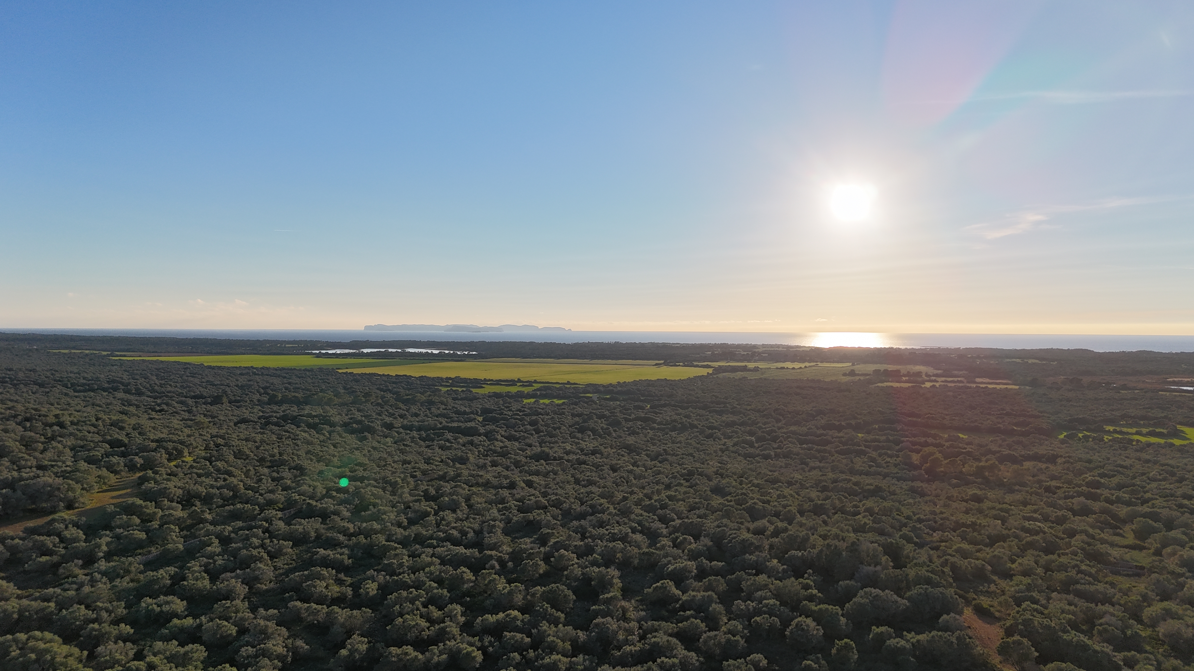 Ses Salines